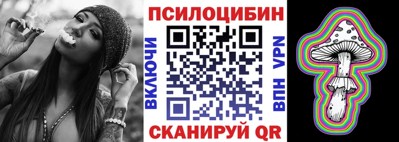 Псилоцибиновые грибы Cubensis  Шебекино 