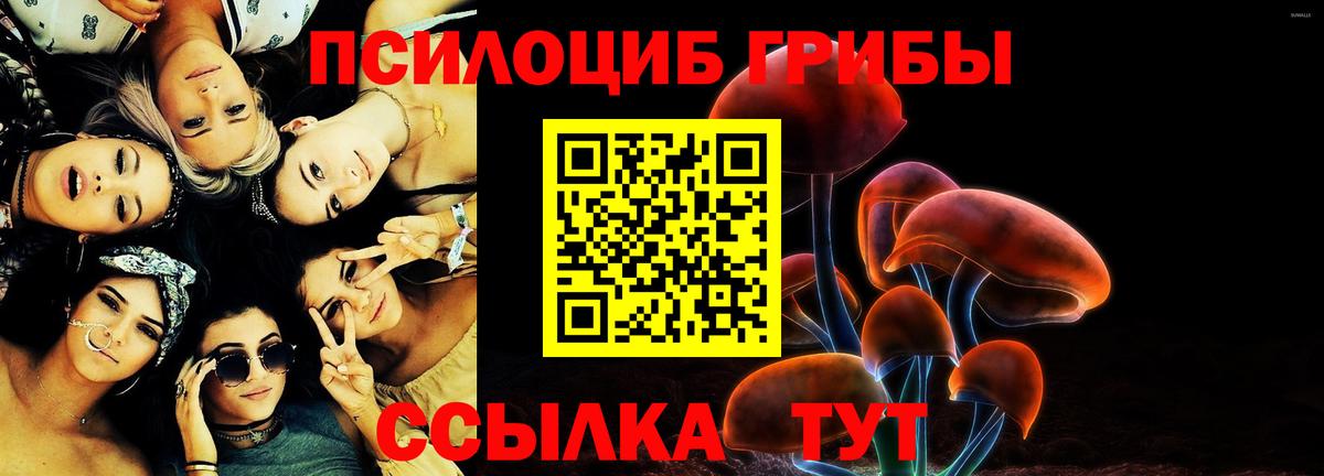 Псилоцибиновые грибы мухоморы Шебекино