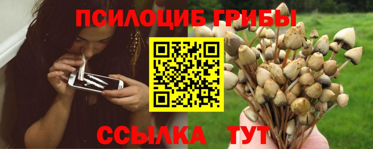 Шебекино  Галлюциногенные грибы мицелий  Псилоцибиновые грибы GOLDEN TEACHER  Вход с VPN 